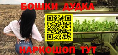 стаф Новодвинск