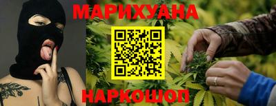 индика Новозыбков
