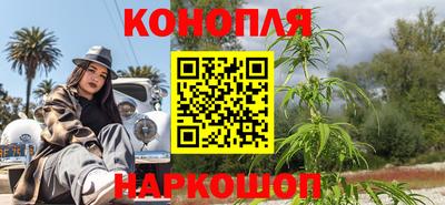 индика Новозыбков