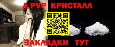 стаф Новодвинск