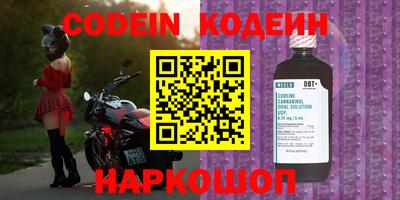 индика Новозыбков