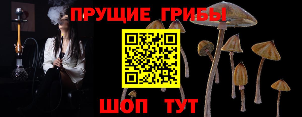 Псилоцибиновые грибы мицелий  Псилоцибиновые грибы Magic Shrooms  Вход с VPN  Троицк 